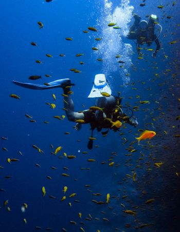 What is GFS weather model and how it works