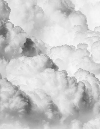 What is dew point temperature