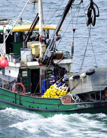 Learn to read a tide table so you don't run aground (or end up in the sea)