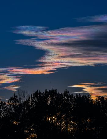 Explore the different types of clouds. They will help you predict the weather