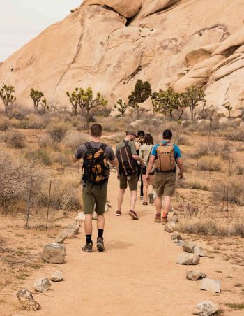 What is quicksand and how to get out of it