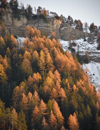 Why are autumn and winter so dreary, and what can we do about it?