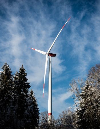 What is Bora (wind) and how does it form