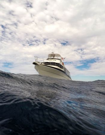 Explore the different types of storms