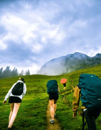 The collection of articles about precipitation forecasting