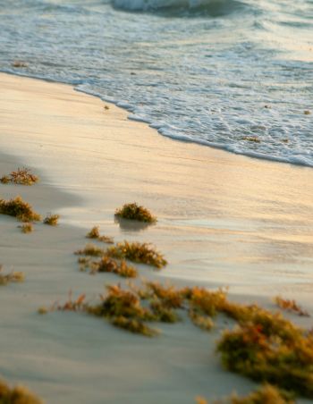 The Strangest Sea in the World