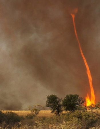 What is a dust devil