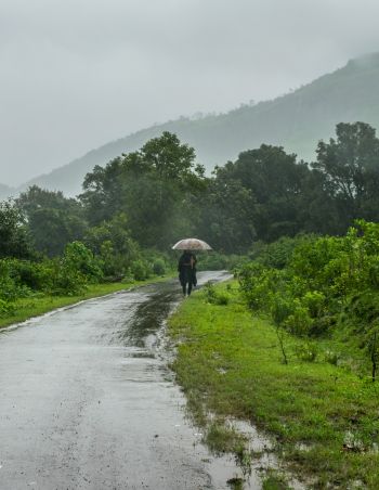 Where do monsoons come from 