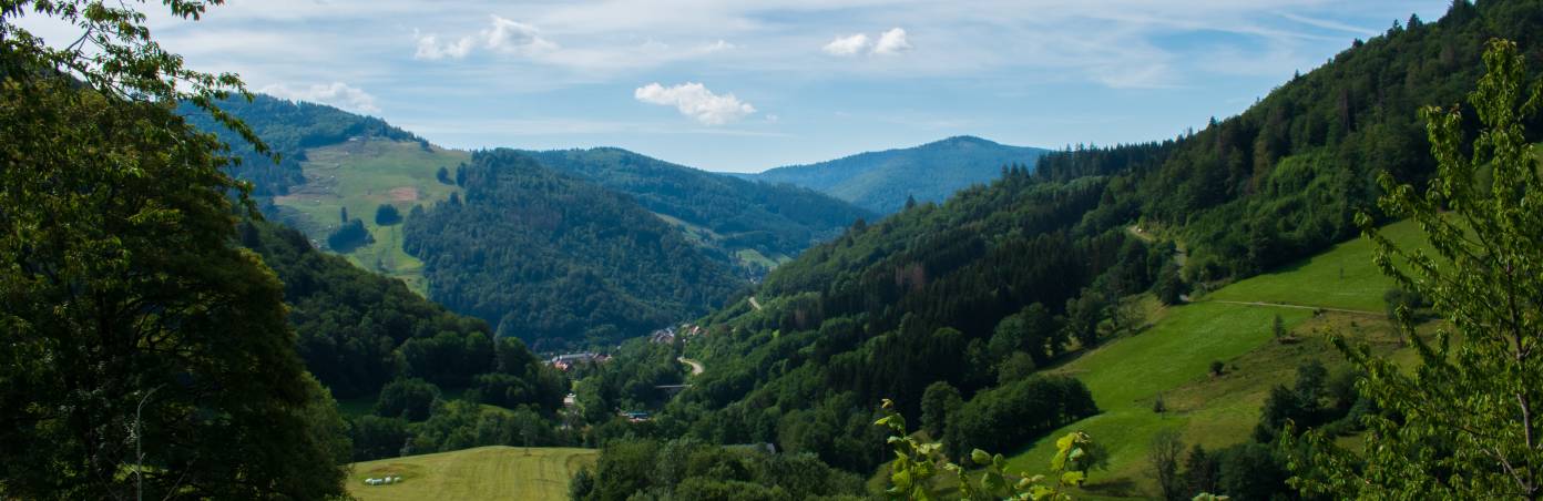 How do weather models work