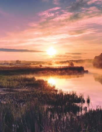 The anatomy of climate