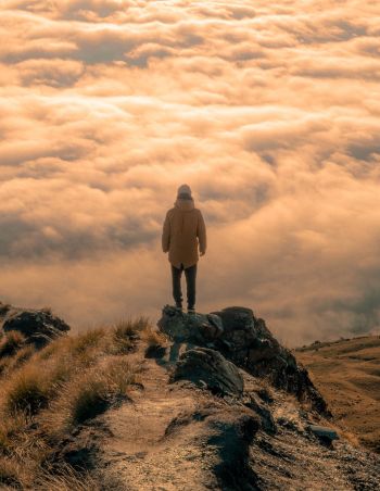 How to read a weather stations map like an expert