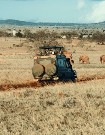 Namibian Witches' Rings