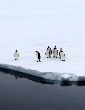 Photos we liked the most in the Windy.app Community in September 2021