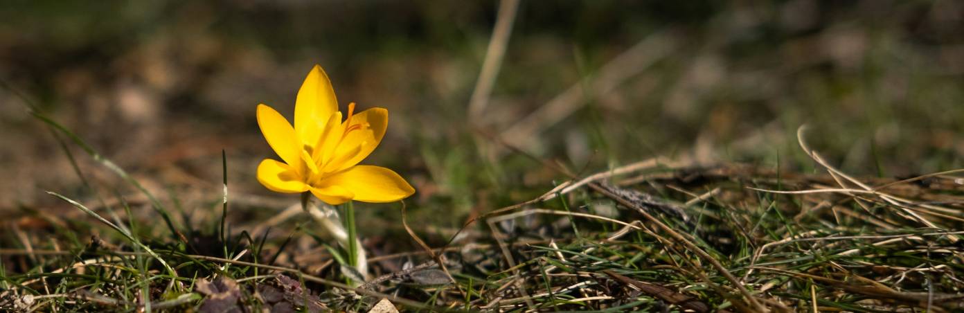 When is spring coming?