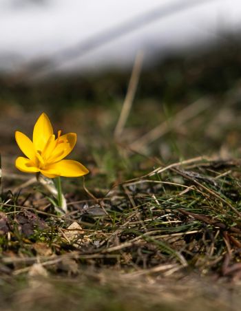 When is spring coming?