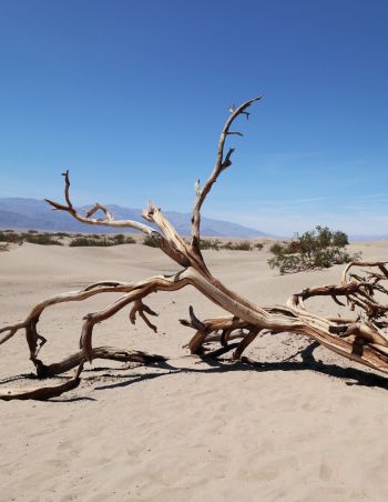 What causes heat waves