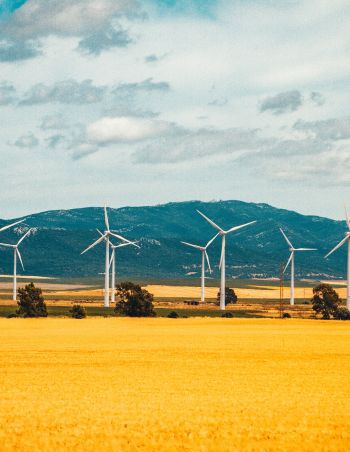 The light and dark side of wind power generation